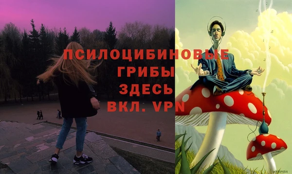 apvp Навашино