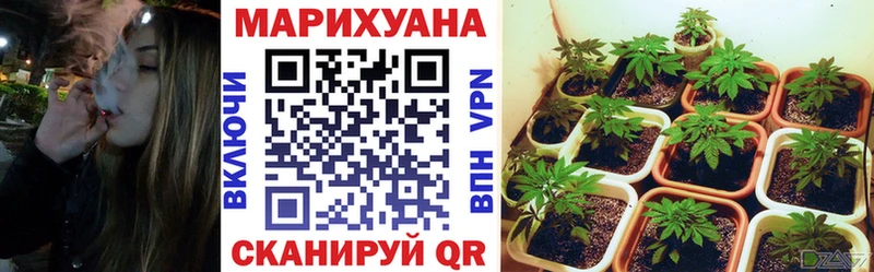 хочу наркоту  Урус-Мартан  Бошки Шишки планчик 